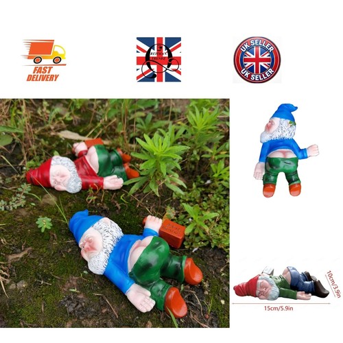 Funny garden gnome whimsical - funny,