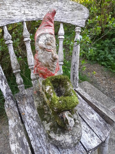 Vintage 50s weathered garden - vintage,