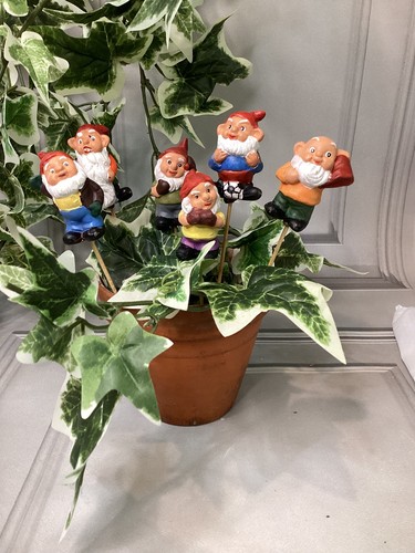 Quirky funny mini gnomes - quirky,