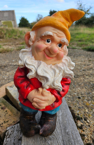 Cheerful garden gnome - gnome,