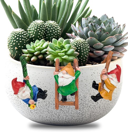 Pcs climbing gnomes - pcs,