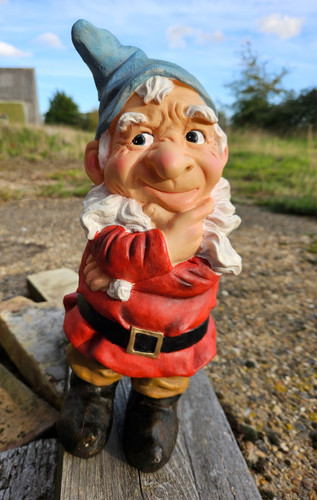 Thoughtful garden gnome - thoughtful,